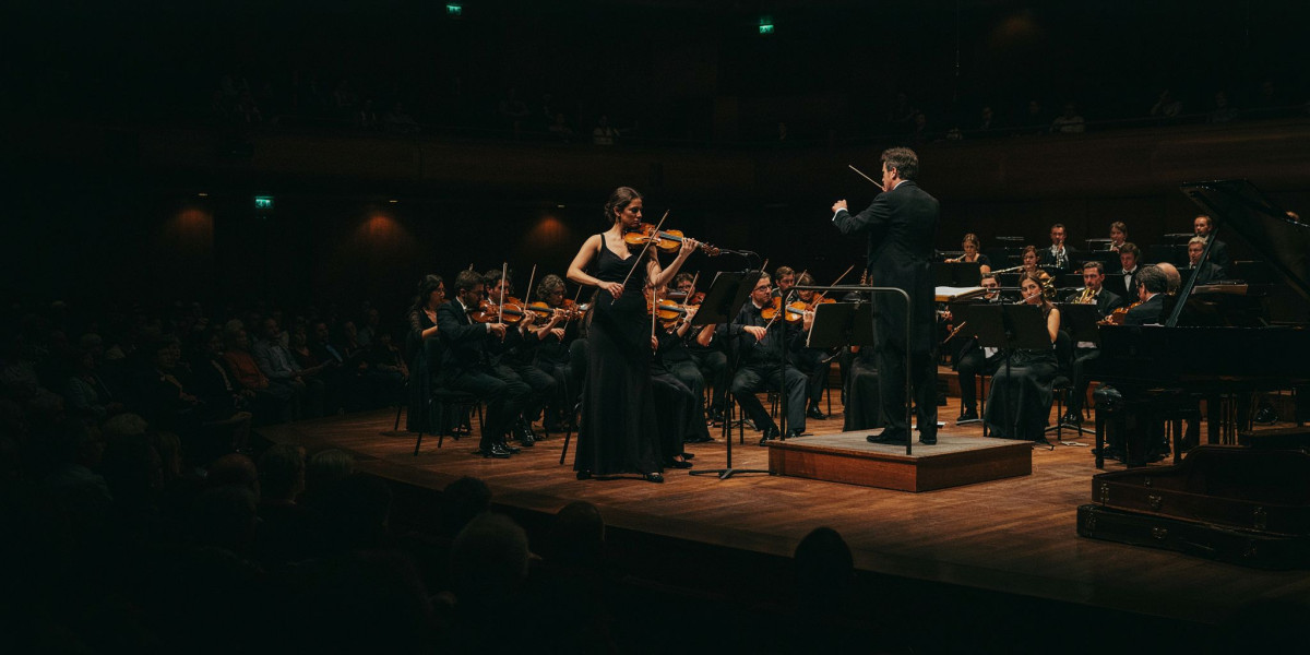 Beethoven Violin Concerto with María Dueñas, photo 1