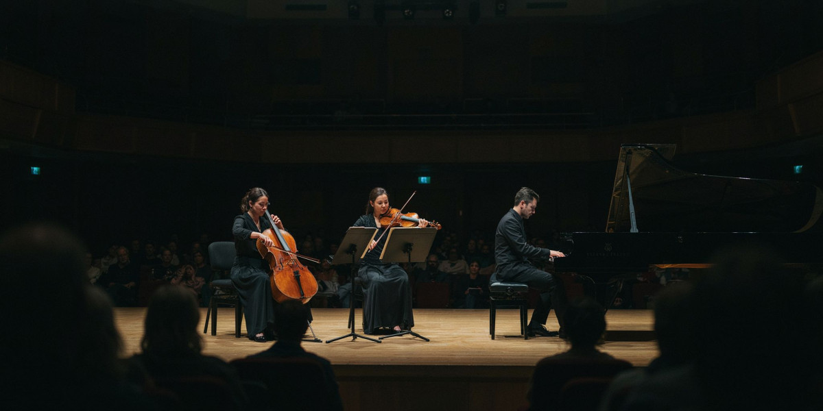 Ssens Trio, photo 1
