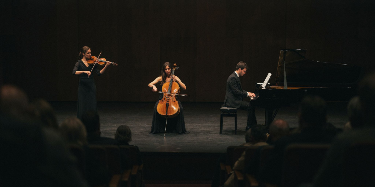 Rautio Trio, photo 1