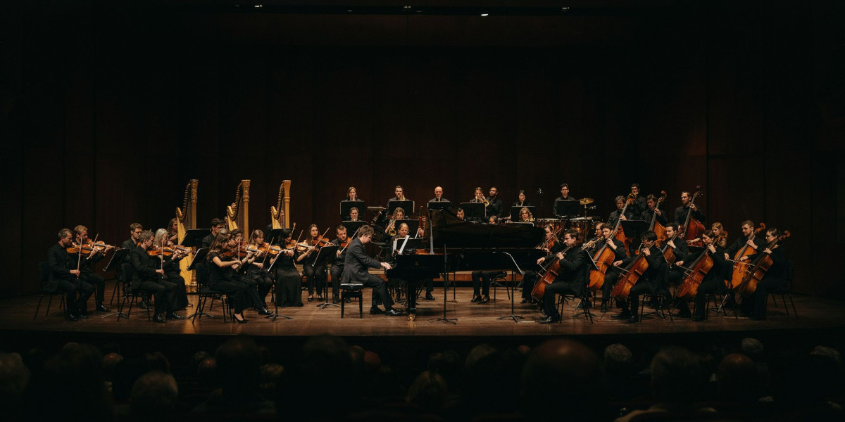 Patterns in Time: Ligeti & Illean, photo 1