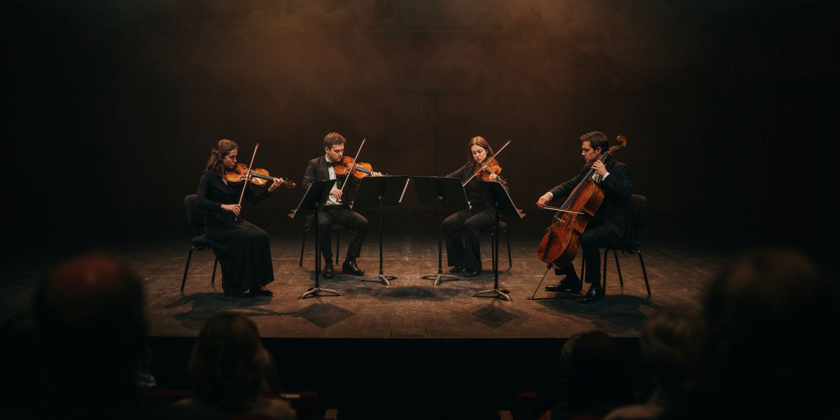 Solem Quartet: Industry, photo 1