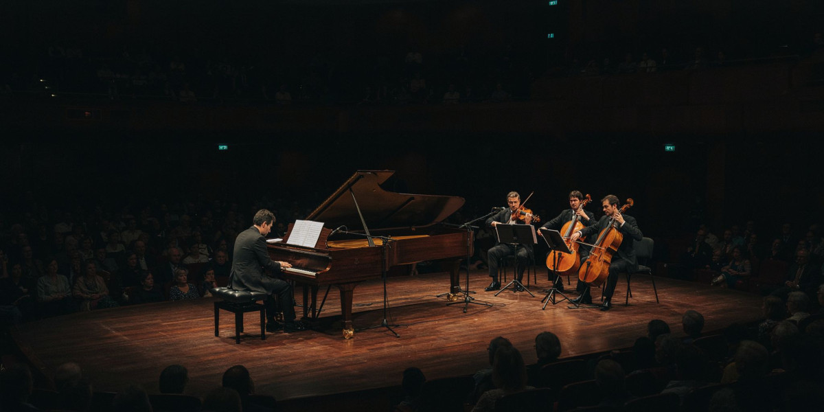 Kantorow, Petrova & Friends: Musikfest, photo 1