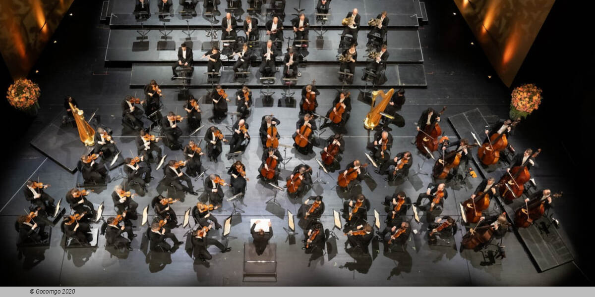 Winter Festival Baden-Baden 2026, photo 4