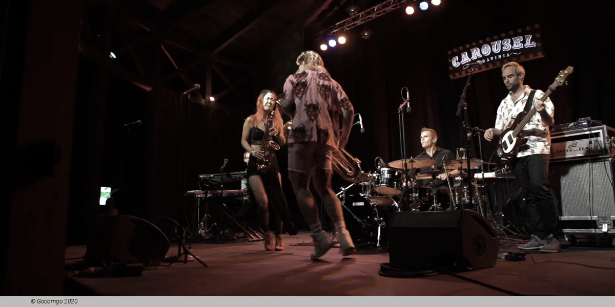 Ravinia Festival, photo 8