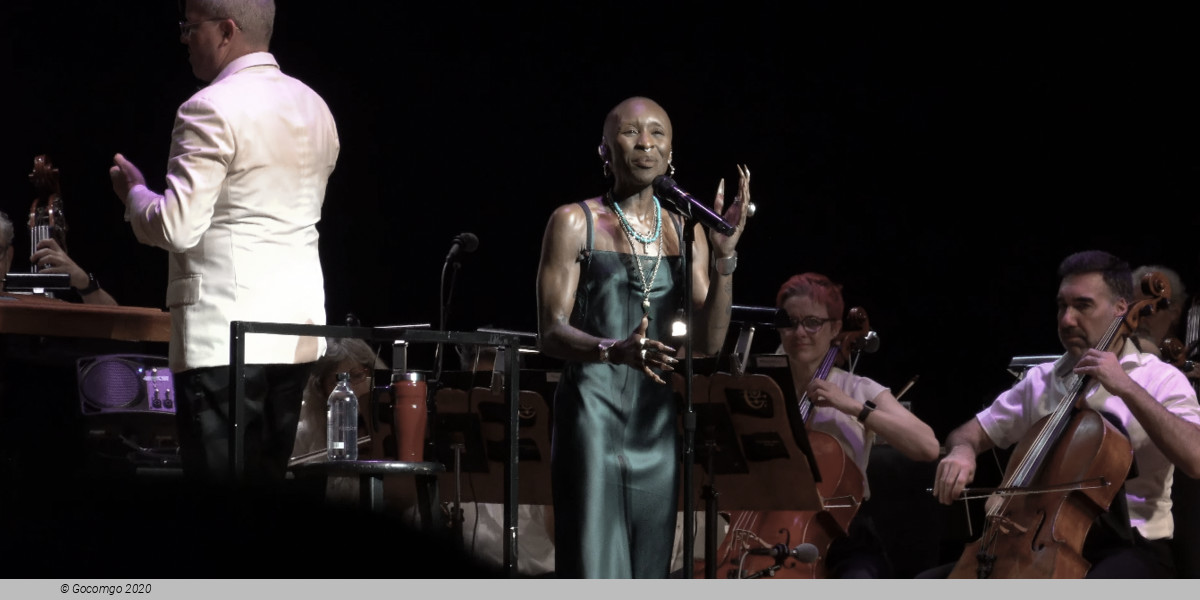 Ravinia Festival, photo 9