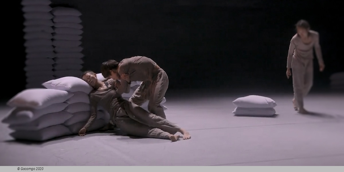 Codadancefest, photo 1