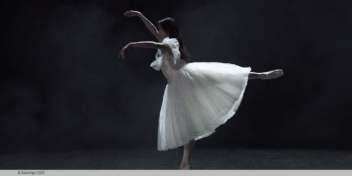 Scene 1 from the ballet "The Lady with the Camellias", choreography by John Neumeier, photo 7