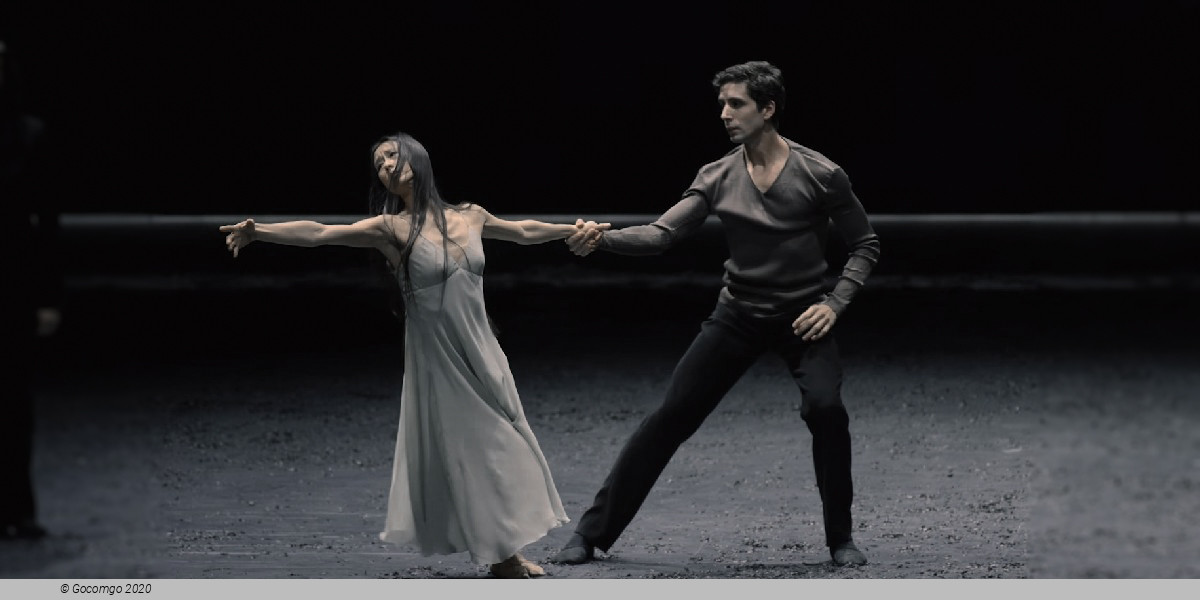 Scene 9 from the modern ballet "Mass da Requiem" by Christian Spuck, photo 1