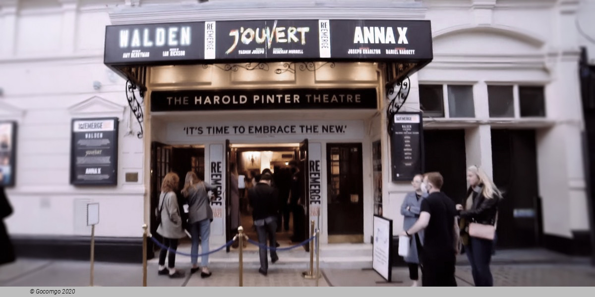  Harold Pinter Theatre schedule & tickets