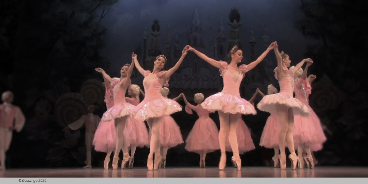  Russian National Ballet Theatre schedule & tickets