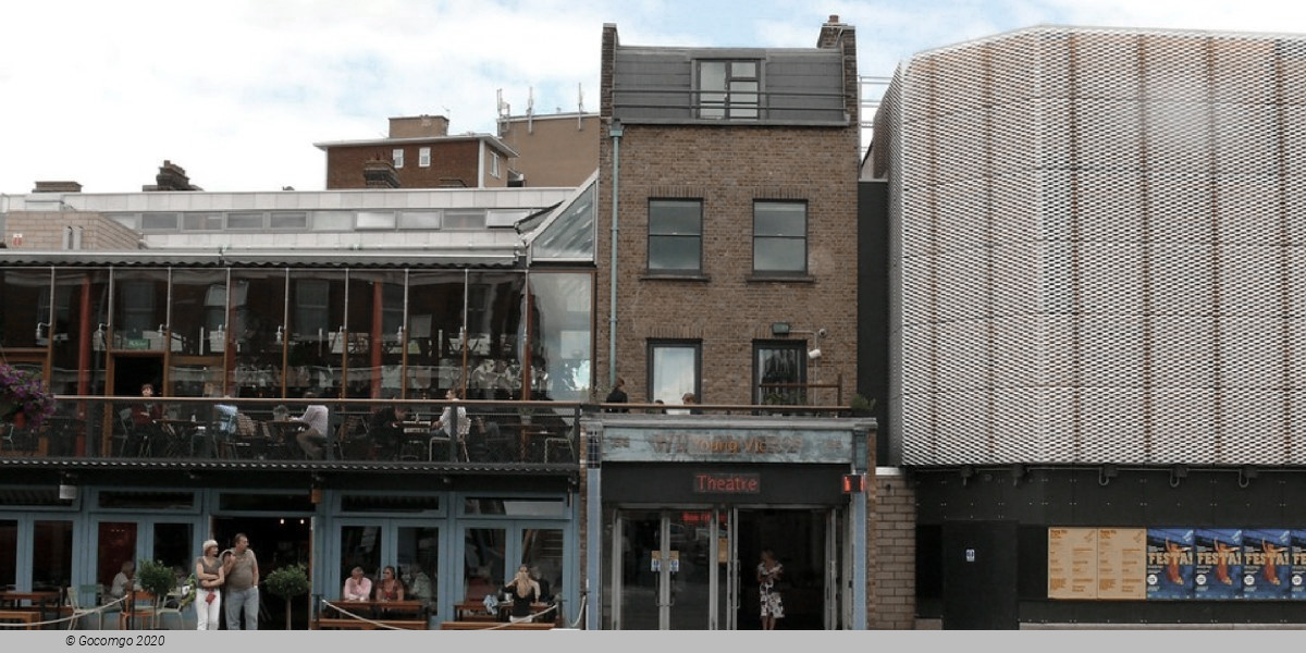  Young Vic schedule & tickets