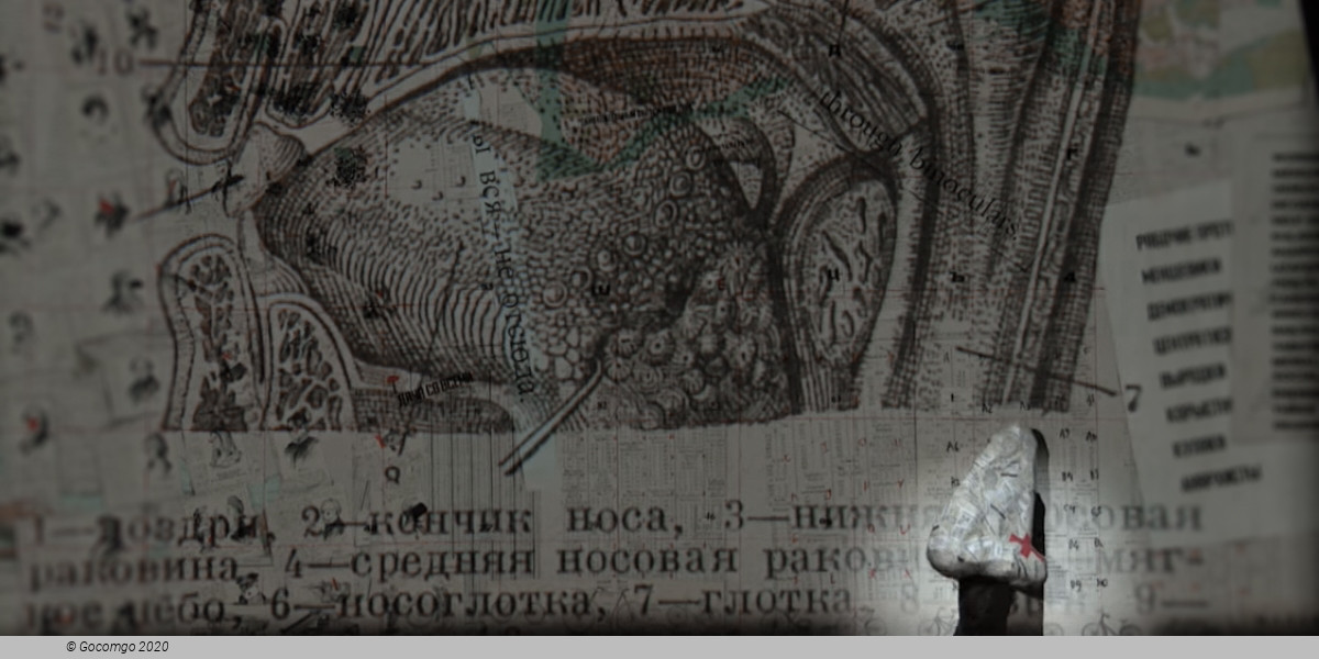 The Nose, photo 4