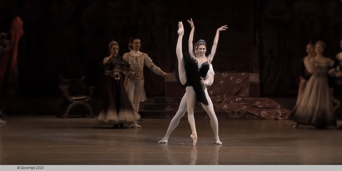 Swan Lake, photo 4