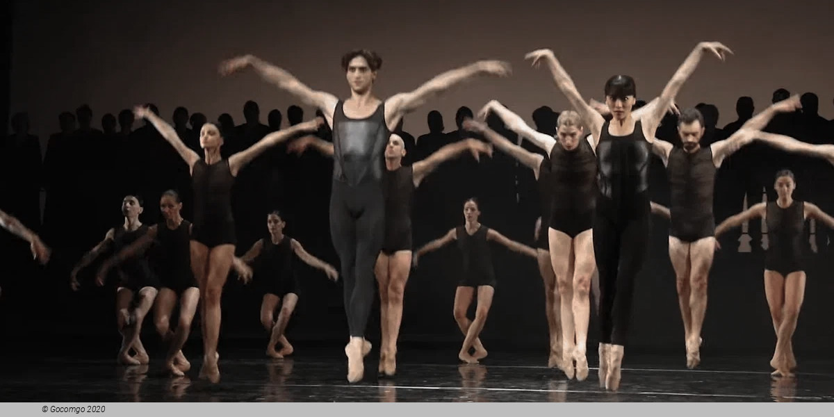 Emergence, photo 1