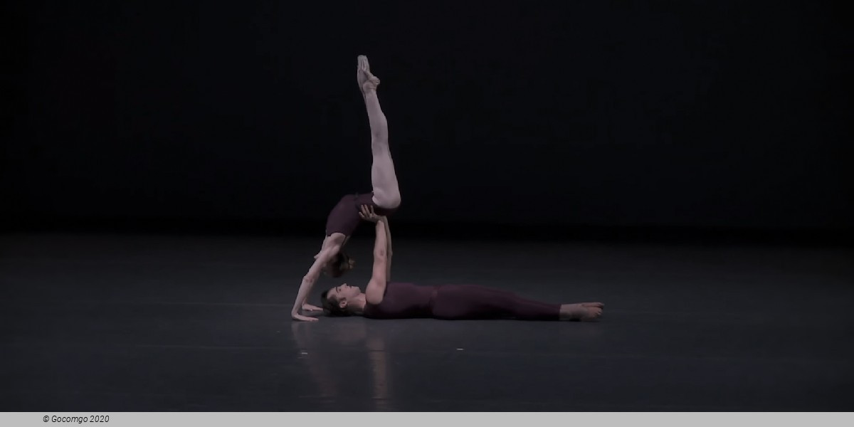 Polyphonia, photo 3