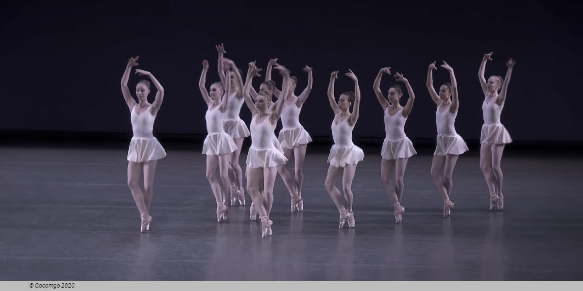 Concerto Barocco, photo 8