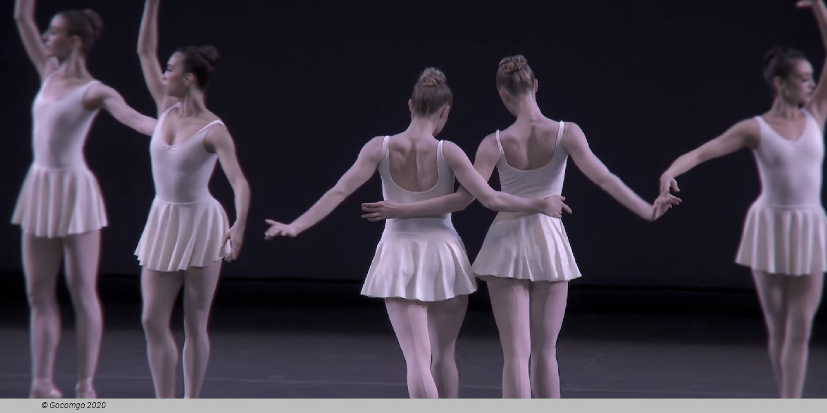 Concerto Barocco, photo 9