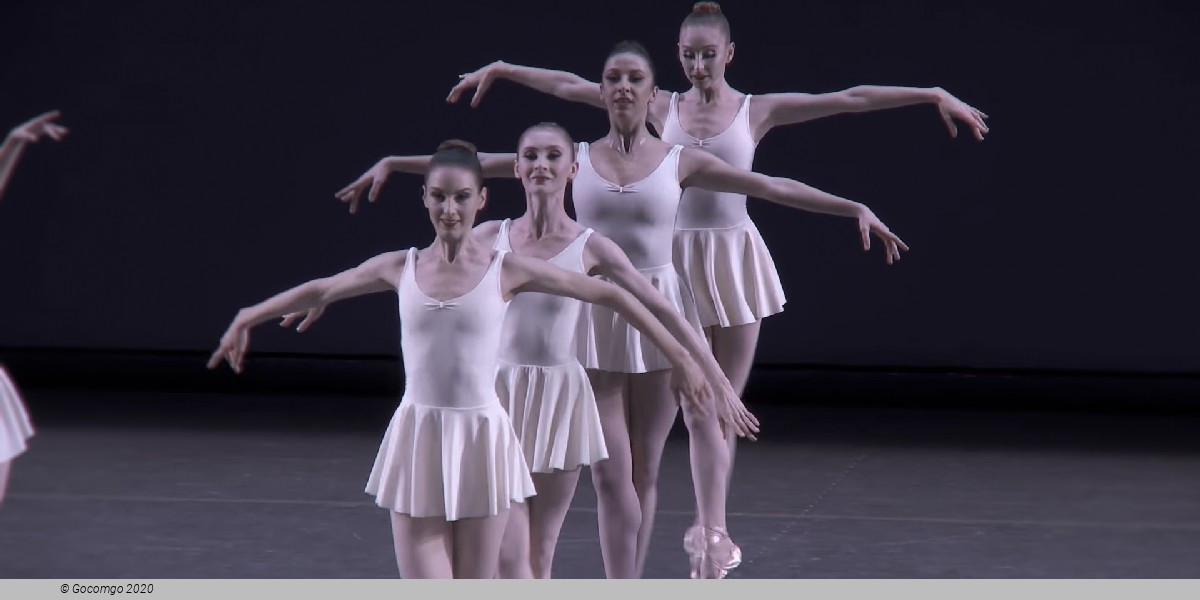 Concerto Barocco, photo 10