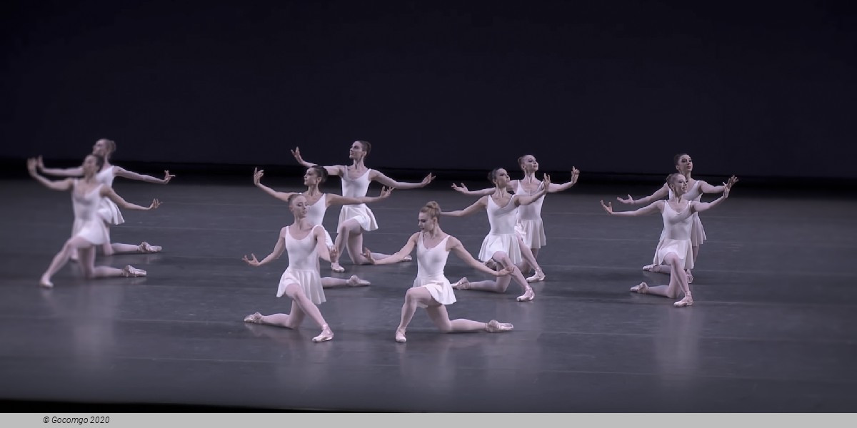 Concerto Barocco, photo 12