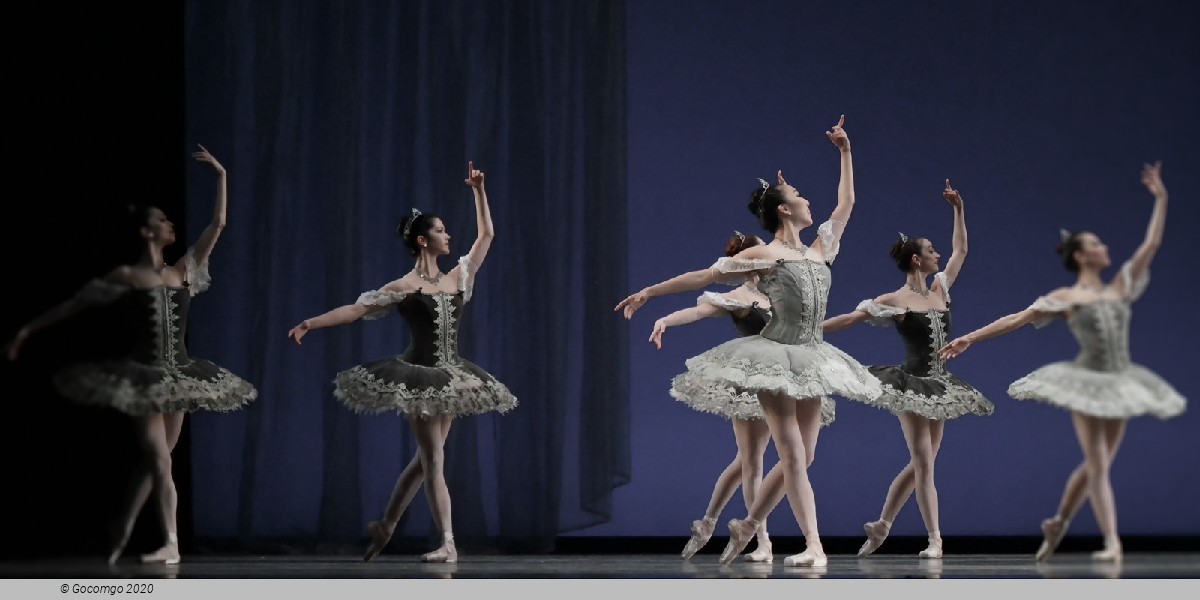 A Night of Dance x12, photo 4