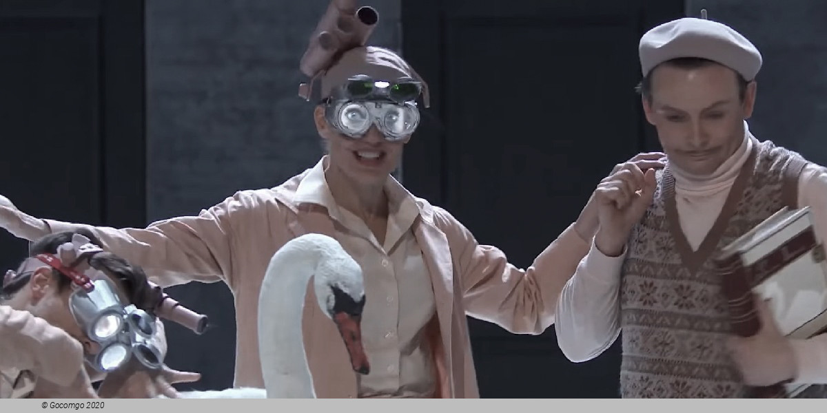 Scene 5 from the modern ballet "A Swan Lake", photo 6
