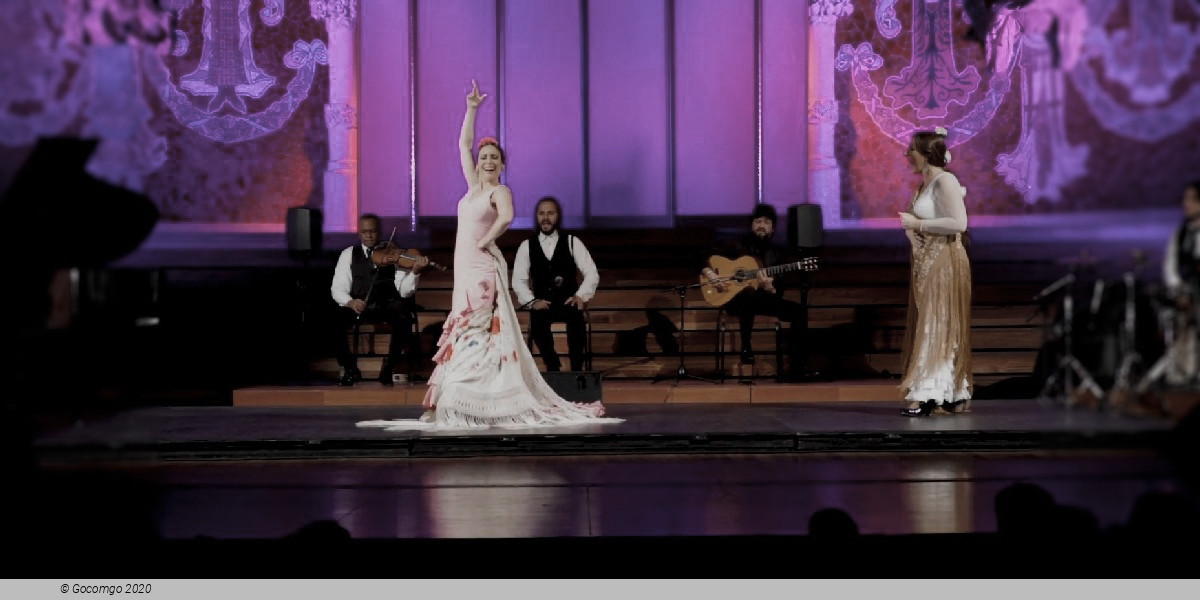 Flamenco Show, photo 1