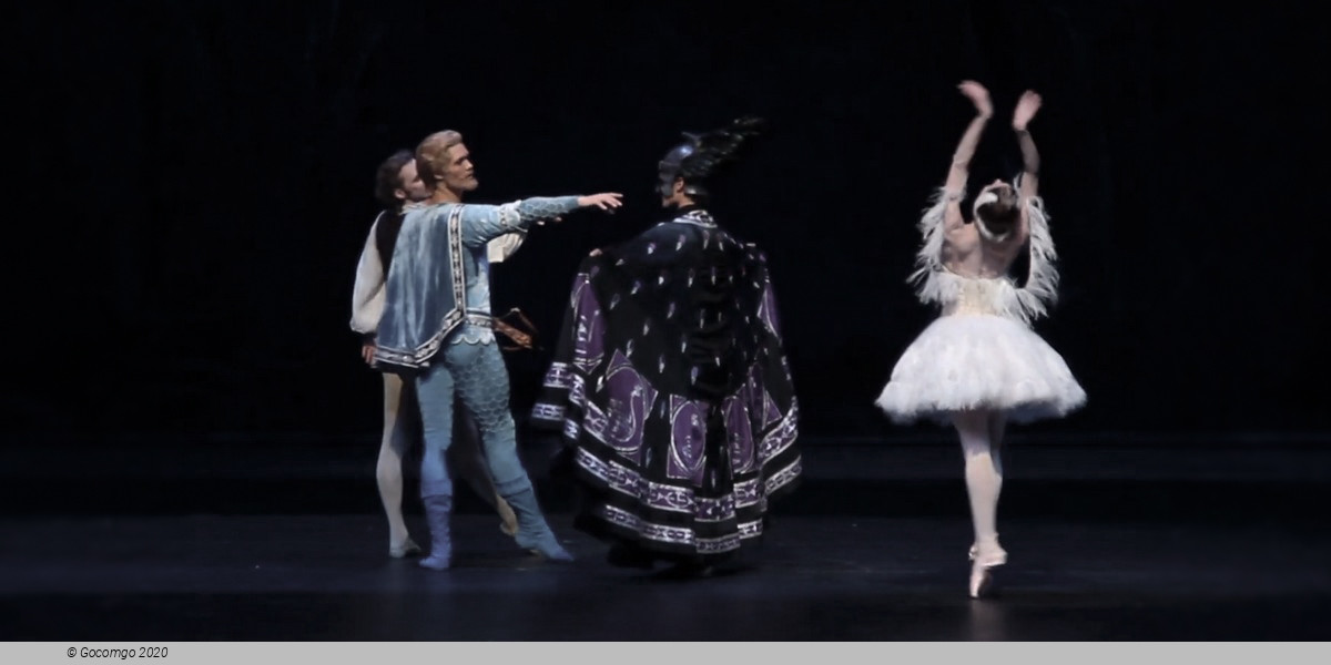 Scene 6 from the ballet "Illusions – like Swan Lake", photo 6