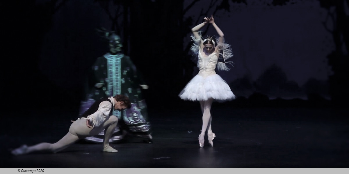 Scene 8 from the ballet "Illusions – like Swan Lake", photo 8