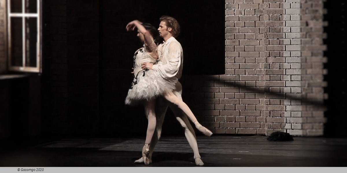 Scene 9 from the ballet "Illusions – like Swan Lake", photo 9