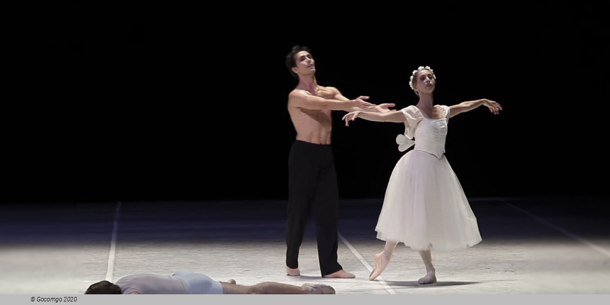 Scene 3 from the modern ballet "Nijinsky", photo 4