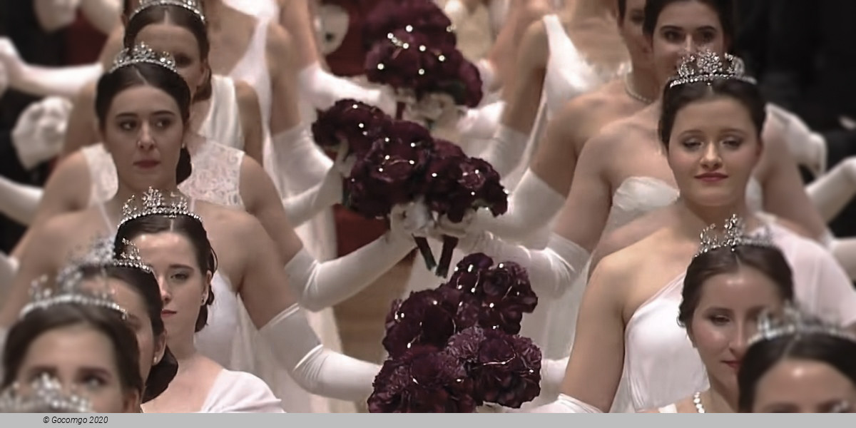 Vienna State Opera Ball, photo 3