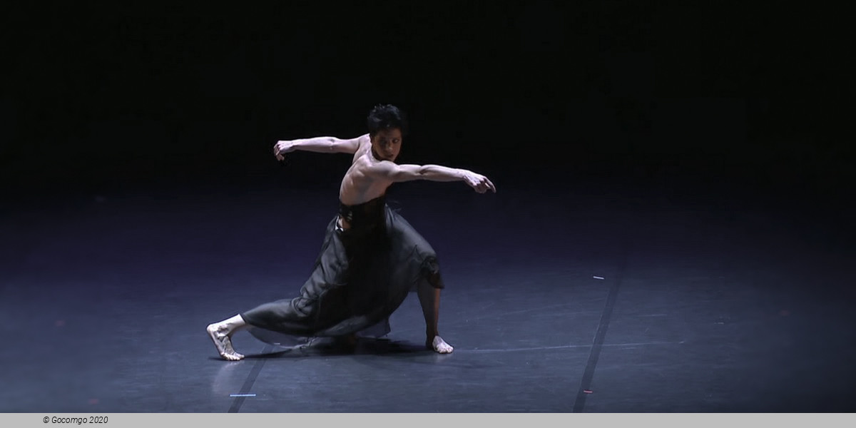 Scene 2 from the modern ballet "Rossini Cards", photo 2