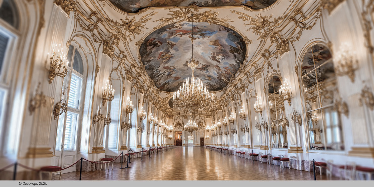 Schönbrunn Palace Concerts - Christmas Market, Palace Tour & Concert, photo 1