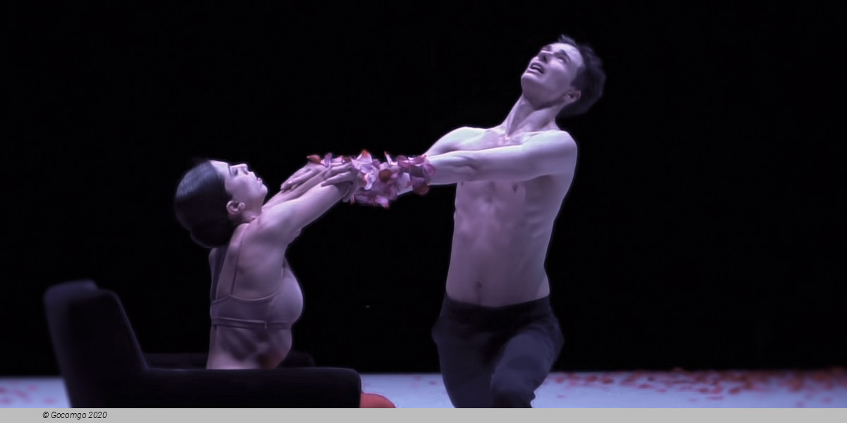 Scene 4 from the modern ballet "Nijinski", photo 5