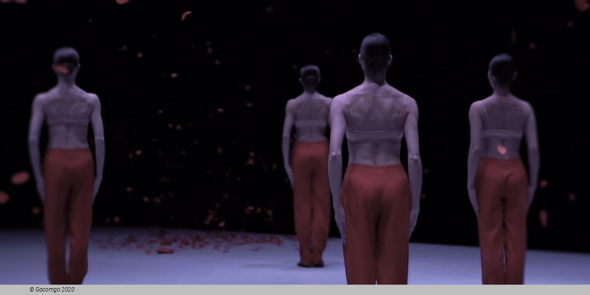 Scene 5 from the modern ballet "Nijinski", photo 1