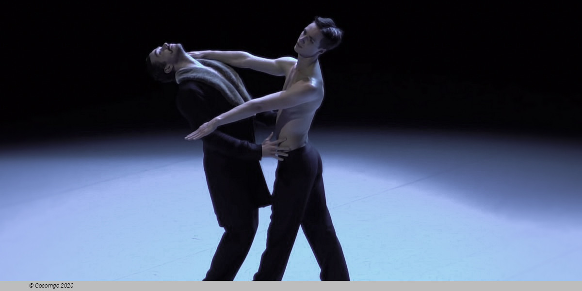 Scene 8 from the modern ballet "Nijinski", photo 8
