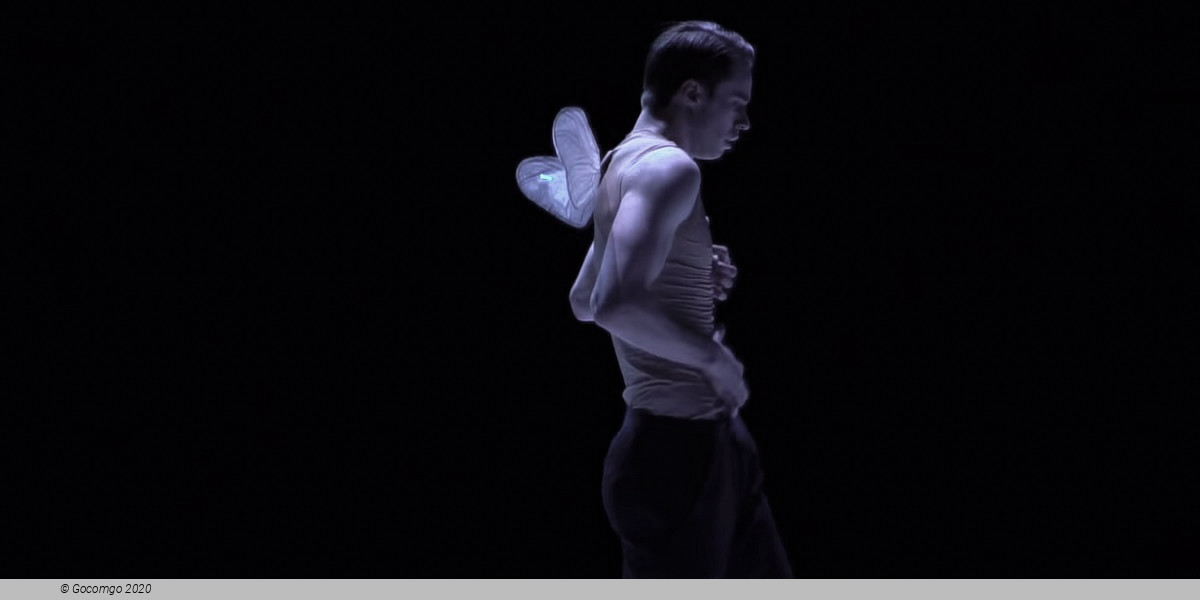 Scene 9 from the modern ballet "Nijinski", photo 9