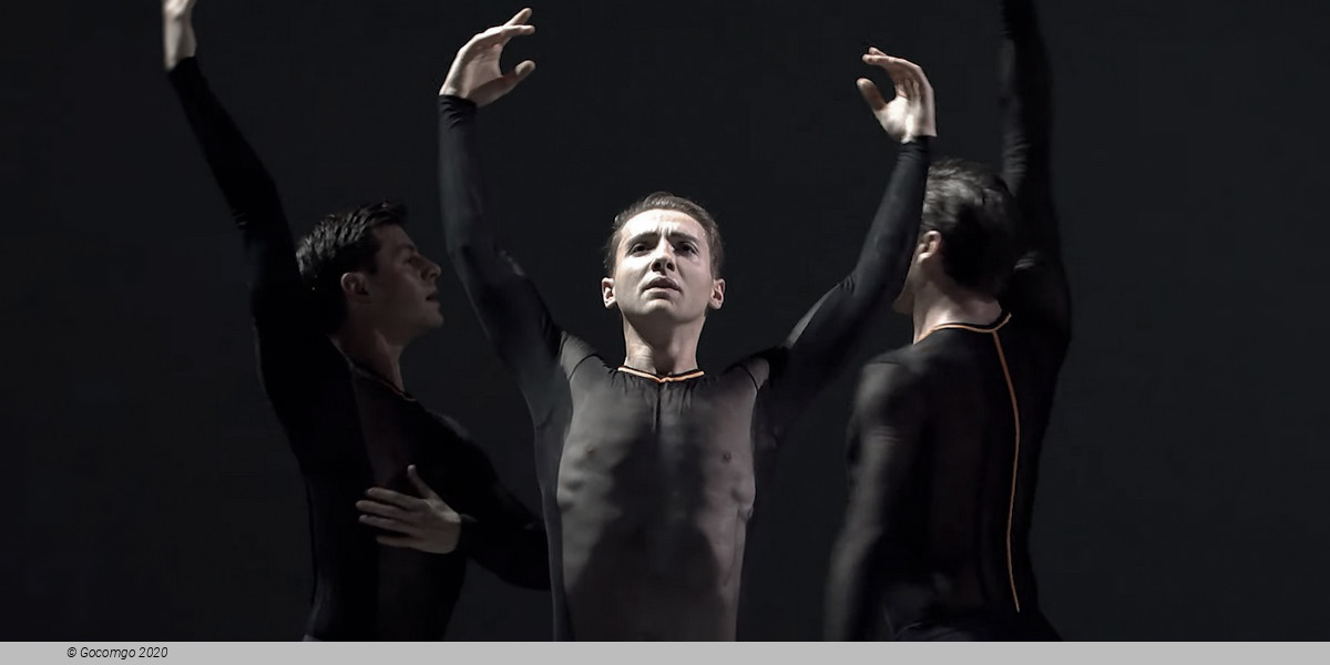 Dutch National Ballet, photo 1