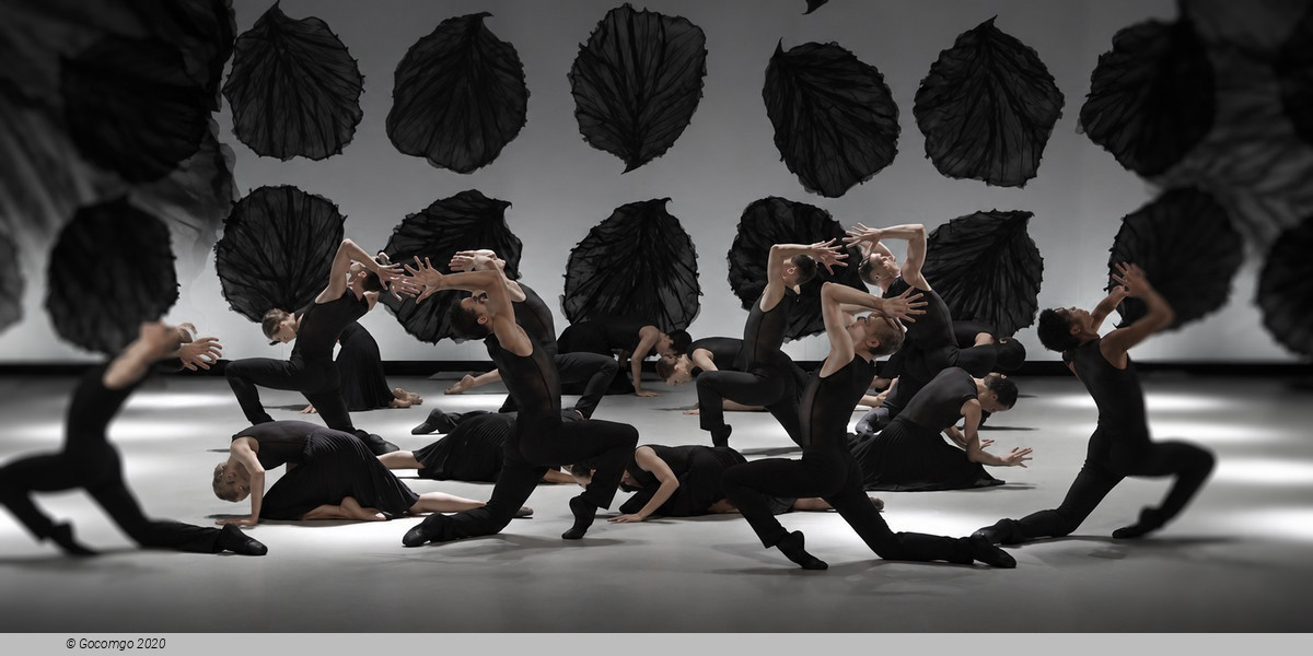 Malandain Ballet Biarritz: Les Saisons, photo 3