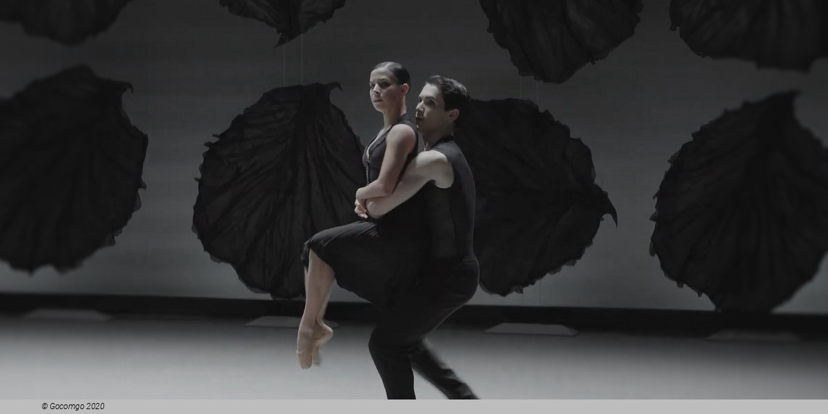 Malandain Ballet Biarritz: Les Saisons, photo 5