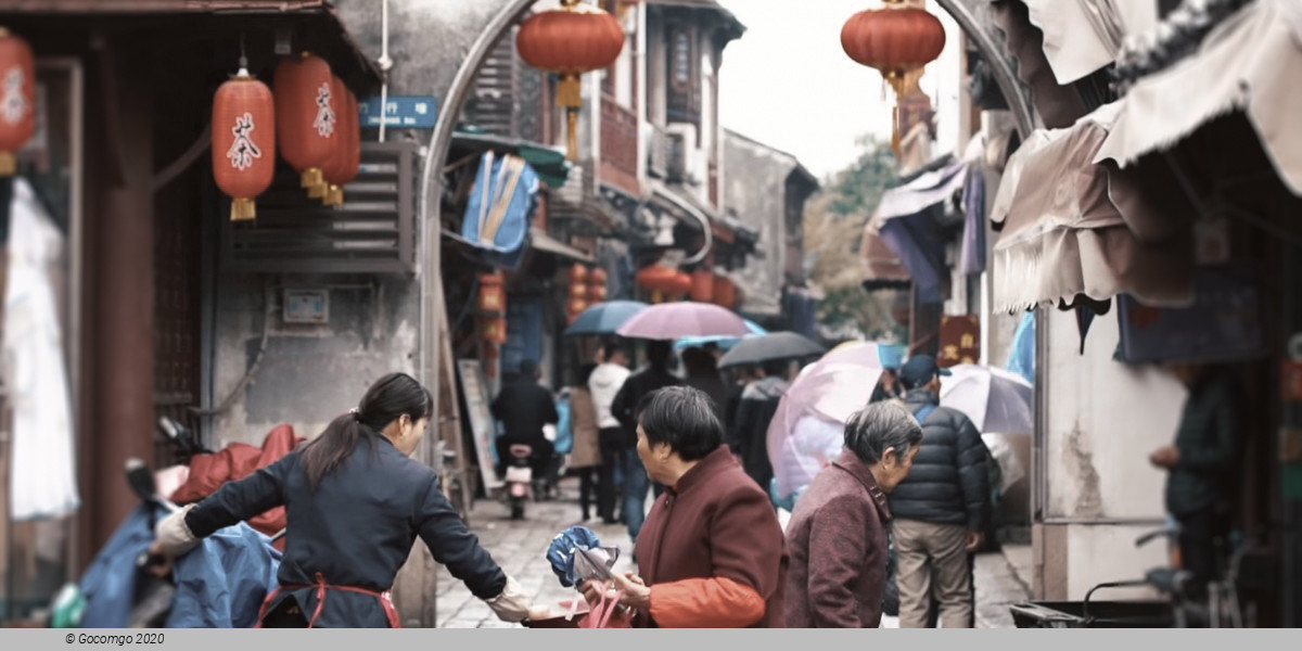 Private Day Trip rom Shanghai - Suzhou and Tongli Water Village, photo 4