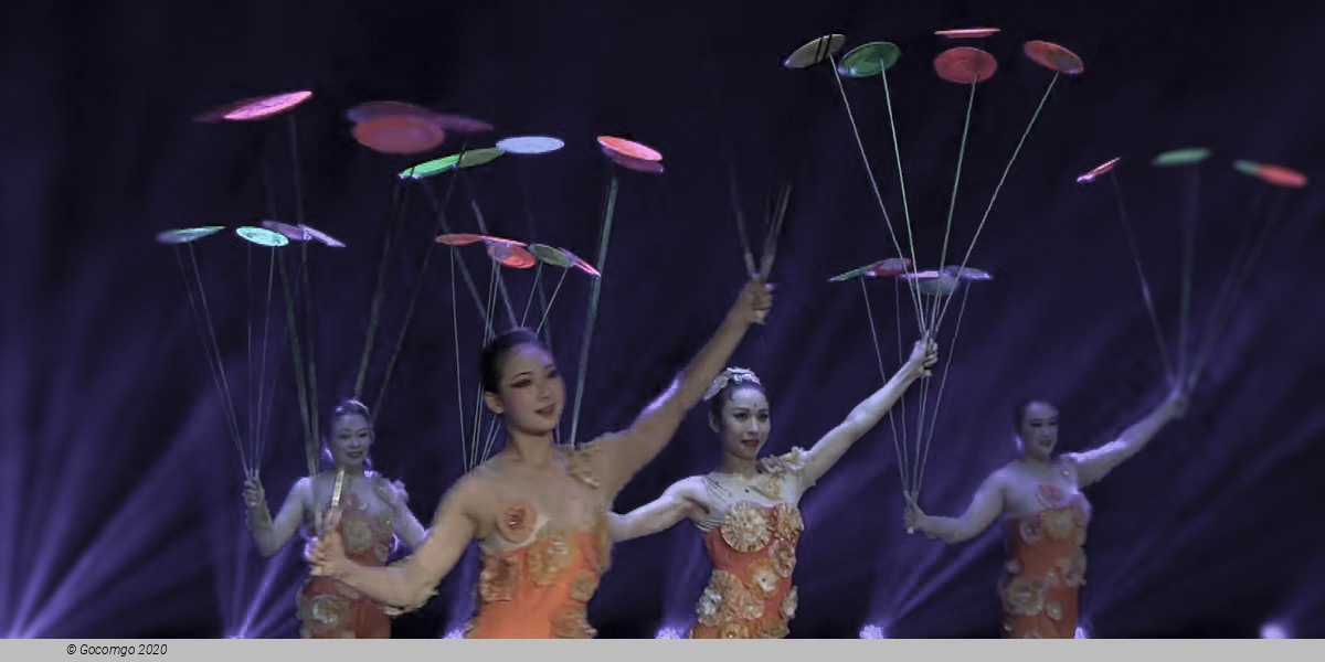 Shanghai Acrobatic Show Ticket with Private Transfer, photo 5