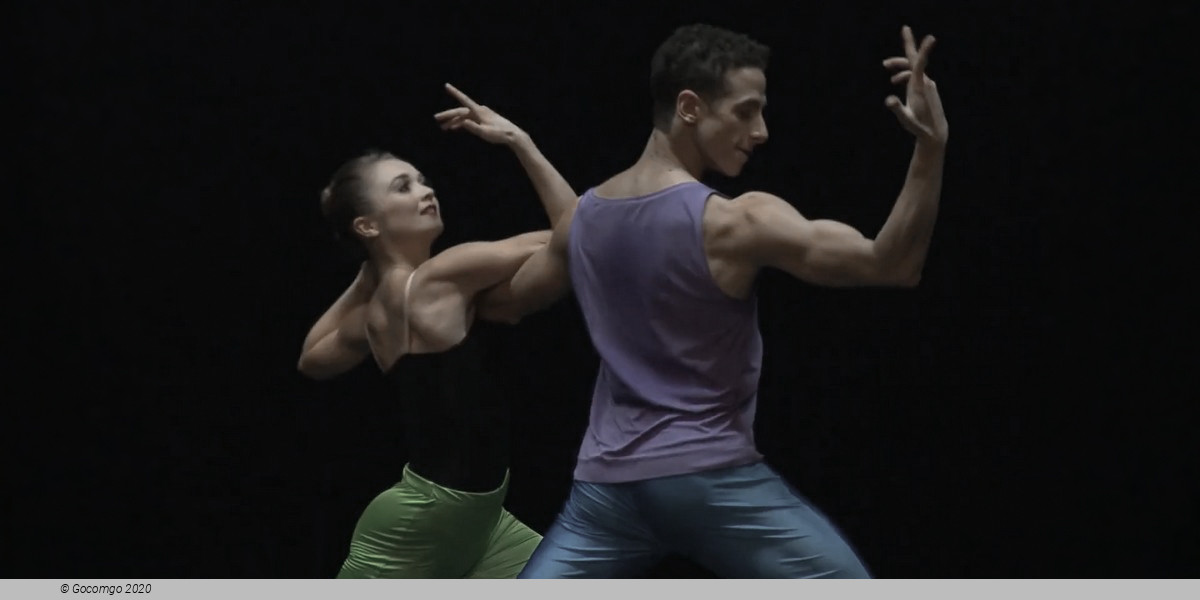 Choreographies by William Forsythe: Blake Works I. Approximate Sonata. One Flat Thing, Reproduced, photo 6