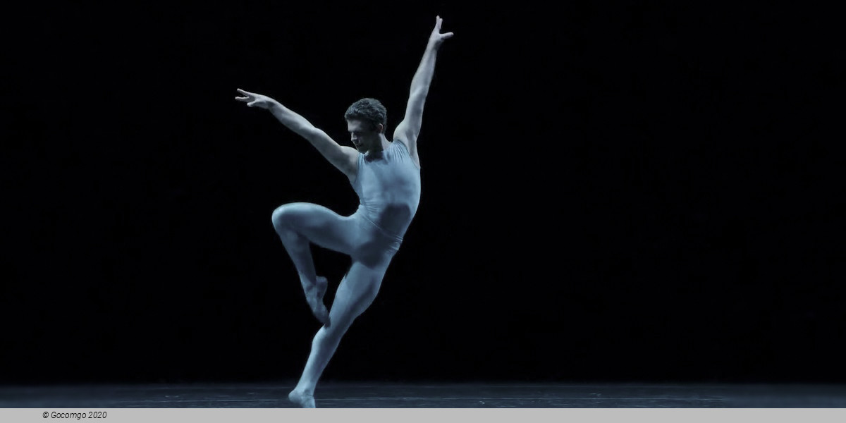 Choreographies by William Forsythe: Blake Works I. Approximate Sonata. One Flat Thing, Reproduced, photo 8