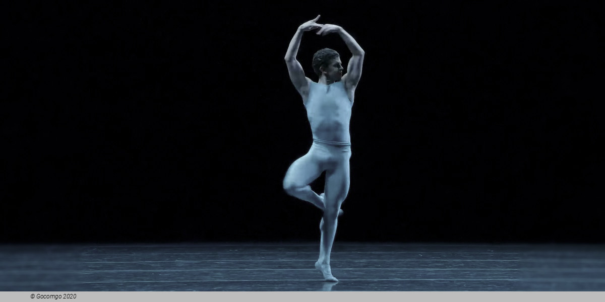 Choreographies by William Forsythe: Blake Works I. Approximate Sonata. One Flat Thing, Reproduced, photo 9