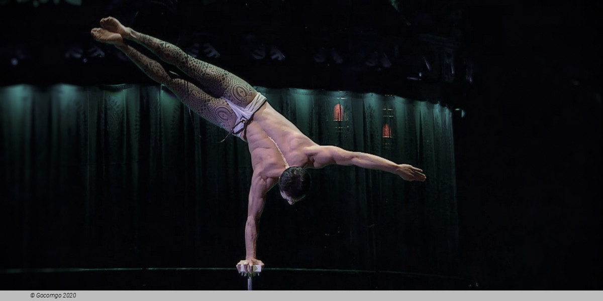 Cirque Du Soleil - KOOZA, photo 12