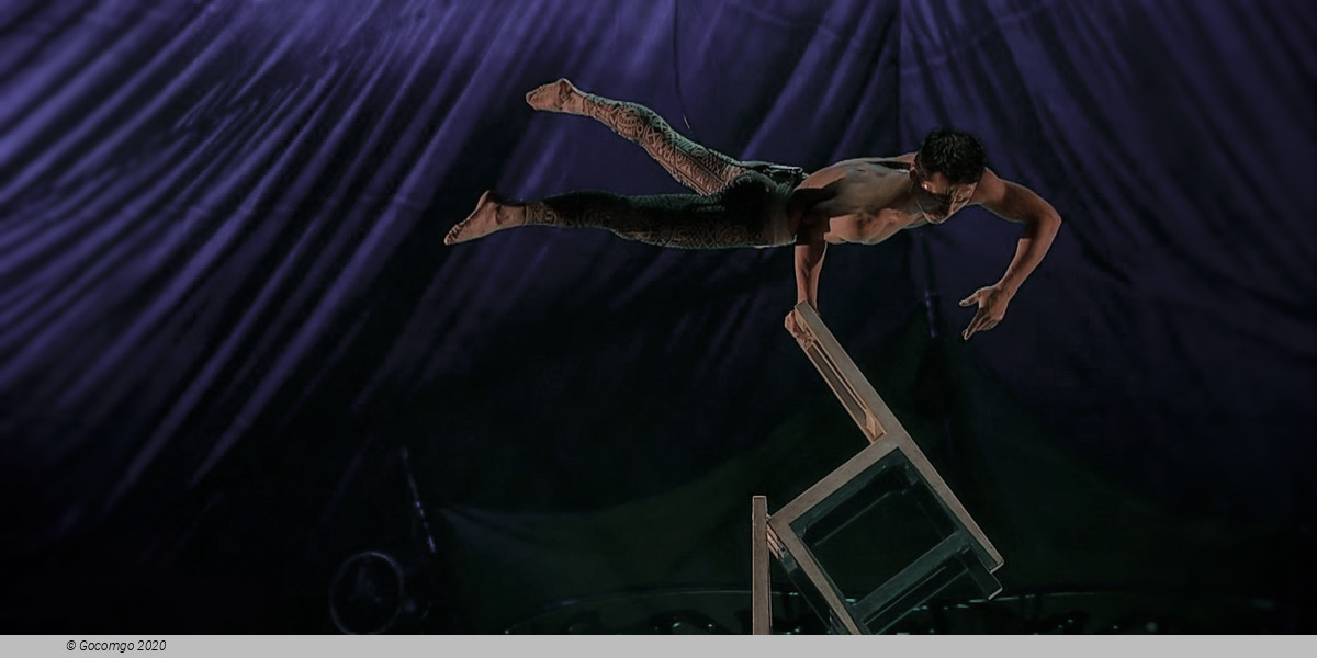 Cirque Du Soleil - KOOZA, photo 14