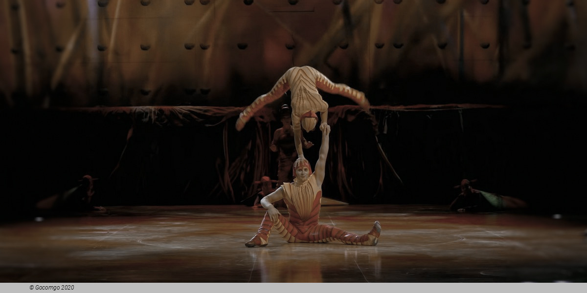 Cirque du Soleil - OVO, photo 13