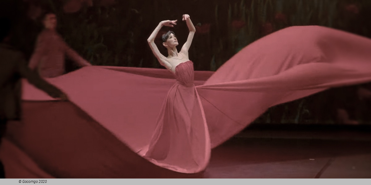 Guest Performance - Lucia Lacarra Ballet: Lost Letters, photo 1