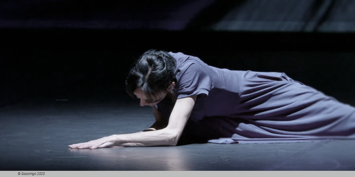 Guest Performance - Lucia Lacarra Ballet: Lost Letters, photo 9